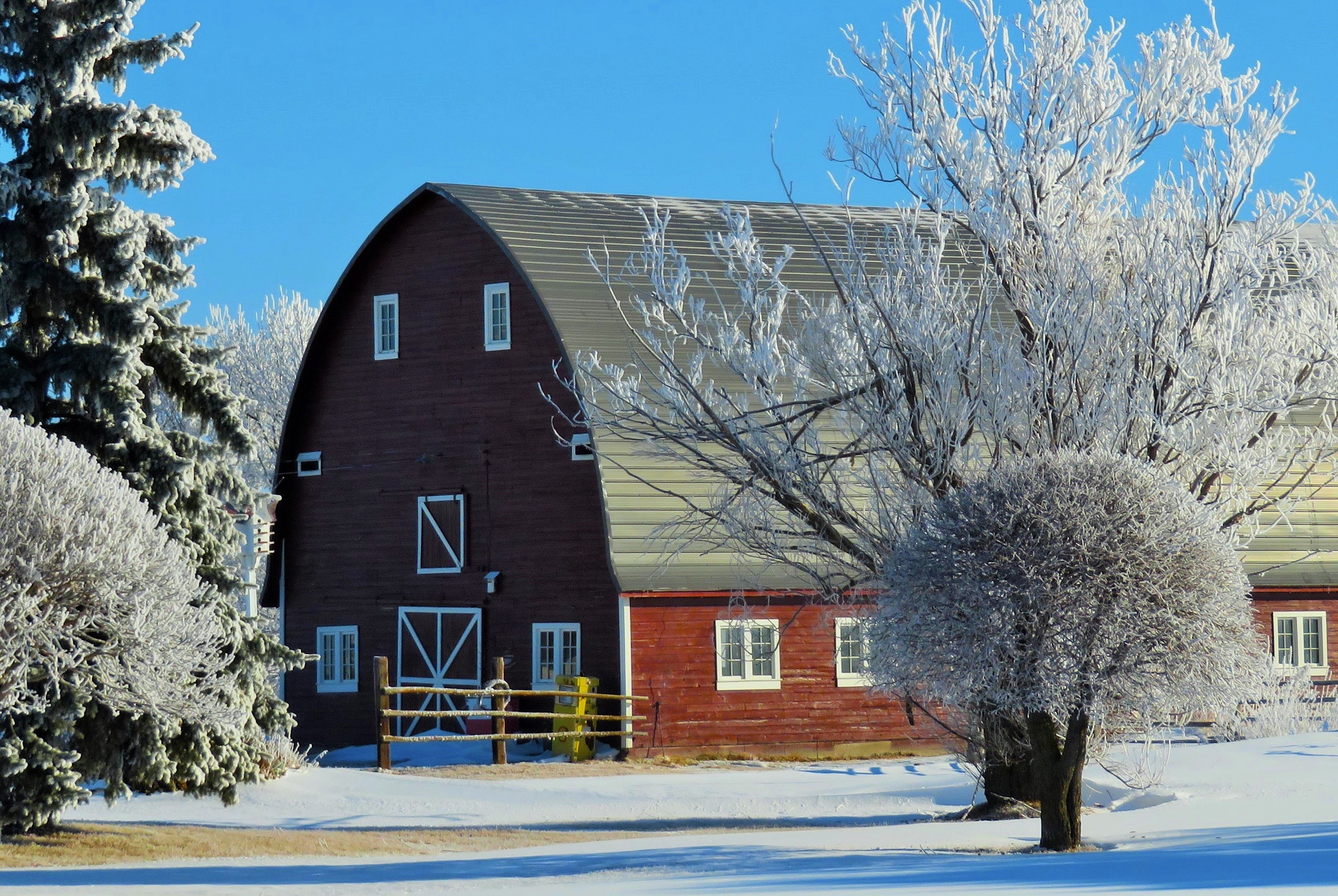 FrostyFarm Our Manitoba Photo Contest